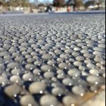 Profile Picture of brett_weir (@brett_weir) on Instagram