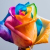 Profile Picture of Virginia Weaver (@virginiaweaver1) on Tiktok