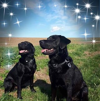 Profile Picture of Joanne Kimble (@joanne.kimble.73) on Facebook