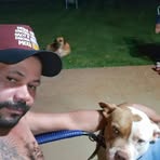 Profile Picture of Daniel Rosa (@Daniel-Rosa) on Facebook