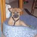 Profile Picture of Kelly Hindsley (@kellyhindsley54) on Pinterest