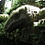 Profile Picture of Clatterr (@clatterr) on Flickr