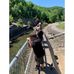 Profile Picture of Joshua Salisbury (@joshua.salisbury.794) on Facebook