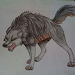 Profile Picture of Thomas Lupo Baita (@thomasbaita) on Instagram