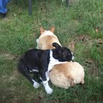 Profile Picture of Dwayne Howard (@Dwayne-Howard) on Facebook