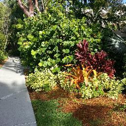 Profile Picture of Lillian Ortiz (@LillyyOrtiz) on Twitter