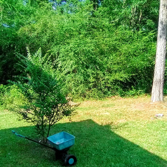 Profile Picture of Lynette Chaney (@lynettechaney) on Poshmark