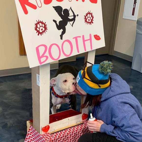 Profile Picture of Tricia Gogala (@patriciaksage) on Poshmark