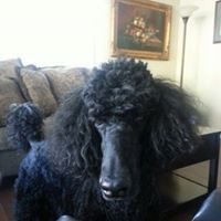 Profile Picture of Bryan Hebert (@bryan-hebert-4) on Quora