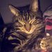 Profile Picture of Paulina Pociask (@paulinapociask) on Pinterest