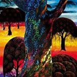 Profile Picture of Colby Felix (@felixcolby) on Instagram