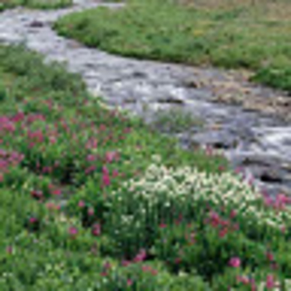 Profile Picture of Toby Hicks (@tobyhicks60) on Poshmark