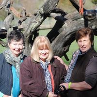 Profile Picture of Cheryl Dougherty (@cheryl-dougherty-9) on Quora