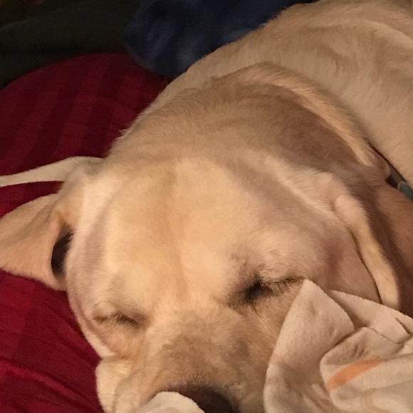 Profile Picture of Shawna Rupert (@shawnak1005) on Poshmark