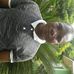 Profile Picture of Benjamin Dartey (@benjamin.dartey.77) on Facebook
