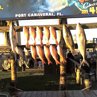 Profile Picture of Steve Brown (@steve.brown.9277583) on Facebook