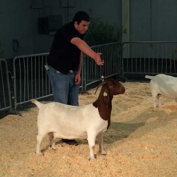 Garrett Sousa - Poshmark Profile Picture of Garrett Sousa (@garrett_sousa) on Poshmark