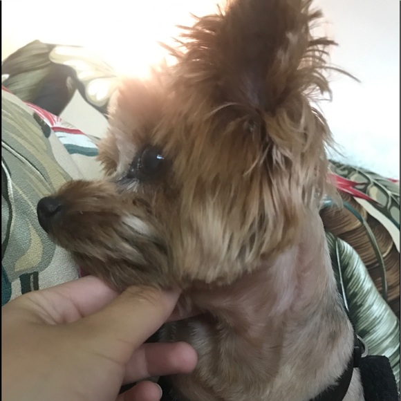 Profile Picture of Caitlin Fulton (@caitlingrace02) on Poshmark