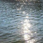 Profile Picture of Blas Zapata (@zapatablas) on Instagram