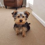 Profile Picture of Shiloh Nelson (@shiloh_111) on Instagram