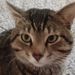 Profile Picture of Daniel Eff (@writerwithnoname111) on Pinterest