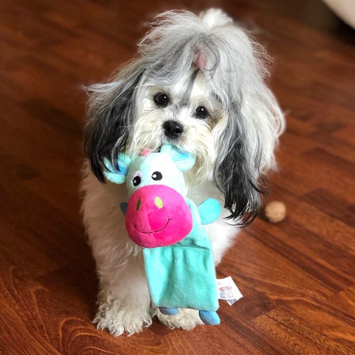 Profile Picture of robertcapy (@robertcapy) on Tiktok