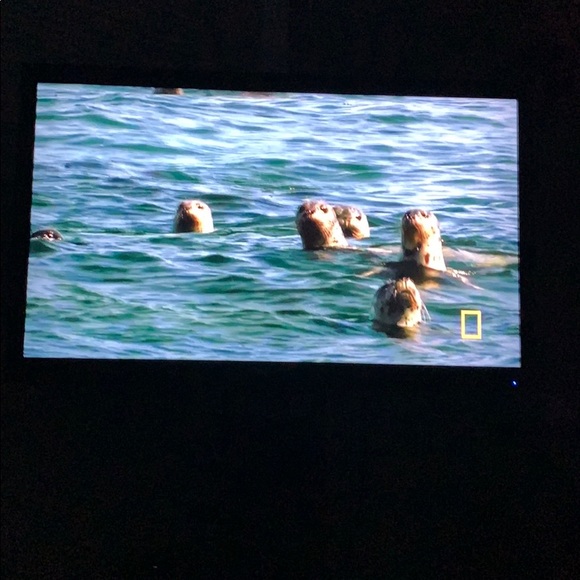 Profile Picture of David Jimenez (@djimenez153) on Poshmark