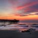 Profile Picture of Connie Corey Kerrick (@cker911) on Pinterest