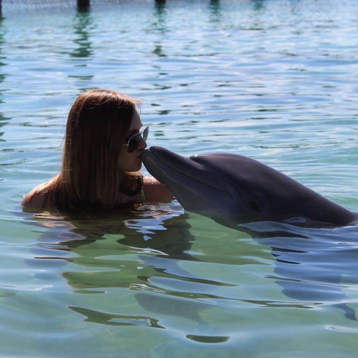 Profile Picture of Clintsey (@clintsey) on Tiktok