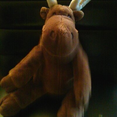 Profile Picture of Christopher K (@MooseKnuckle27) on Twitter
