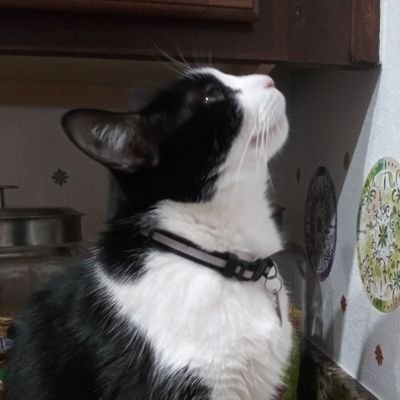 Profile Picture of Dramarama Mama (@CindyHinds13) on Twitter