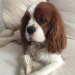 Profile Picture of Kerstin Neumann (@kerstinneumann2) on Instagram