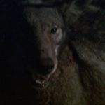 Profile Picture of Joel Draper (@joel84d) on Instagram