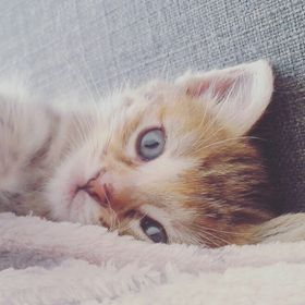 Profile Picture of Axelle David (@Axellouille) on Pinterest