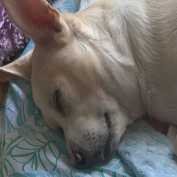 Profile Picture of Vincent Stephenson (@vincentsteph279) on Poshmark