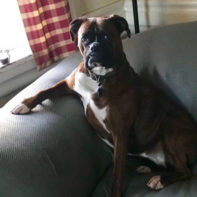 Profile Picture of William Iobst (@IobstWilliam) on Twitter