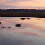 Profile Picture of Jake Hogan (@jakephogan) on Flickr