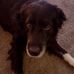 Profile Picture of Kelly Herd (@Kelly-Herd) on Facebook