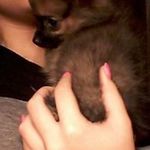 Profile Picture of Aaliyah Alexander (@aaliyah.rose8) on Instagram