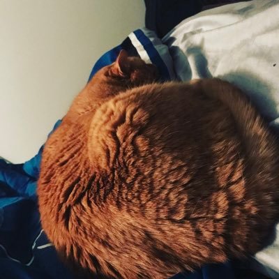 Profile Picture of Chris Hile (@HileChris) on Twitter