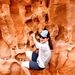 Profile Picture of Sarah Hitzemann (@hitzemann2349) on Pinterest
