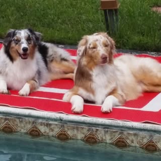 Profile Picture of Carl M Calderone (@calderonecarl) on Instagram