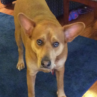 Profile Picture of Michael Kennel (@mike_kennel) on Twitter