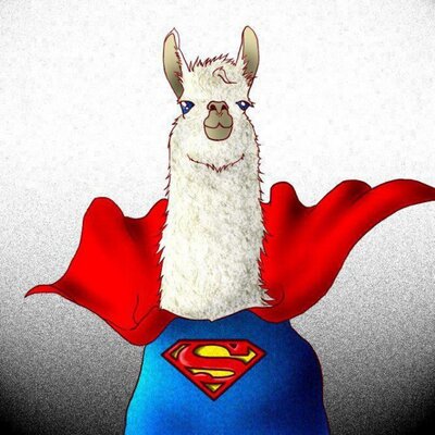 Profile Picture of Andrew P (@AndrewPizzuto) on Twitter
