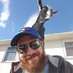 Profile Picture of Steve Kean (@scubasteve983) on Instagram