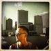 Profile Picture of Shaun Bradley (@shaunbradley) on Pinterest