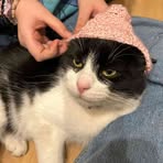 Profile Picture of Michał Wilkowski (@Michał-Wilkowski) on Facebook