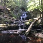 Profile Picture of Joey Wrenn (@j.wrenn) on Instagram