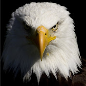 Profile Picture of John Restrepo (@johnrestrepo7042) on Youtube