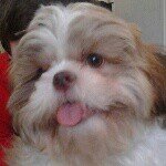 Profile Picture of Christopher Woolley (@_broken_insanity_) on Instagram